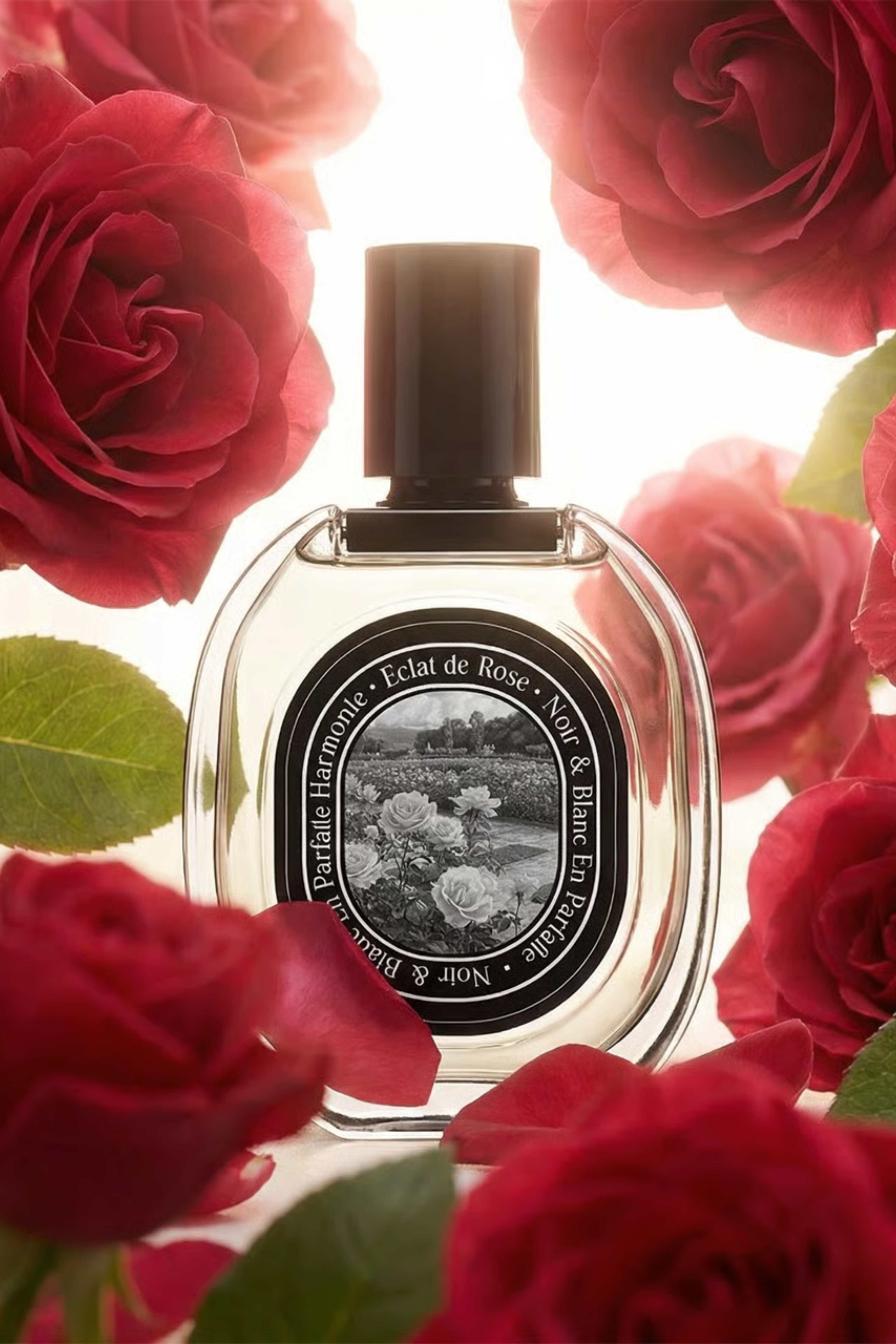 Eclat De Rose EDP (Rose Glow)